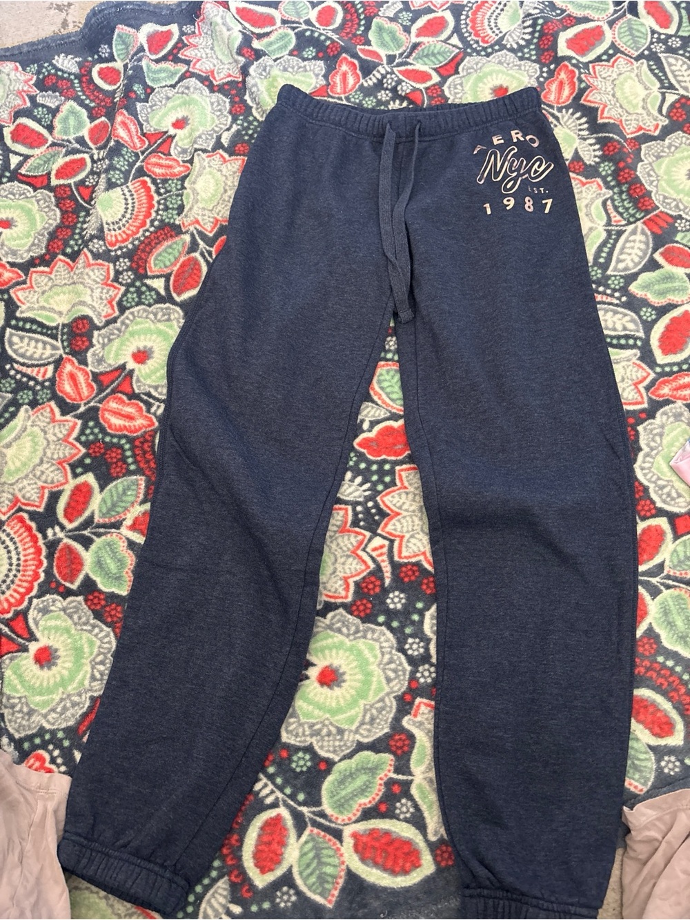 Aeropostale Juniors Navy NYC 1987 Jogger Bottoms